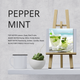 Ароматизатор в авто Mr&Mrs CESARE BLISTER Peppermint - Red (JCESBS06NV02) - изображение 5