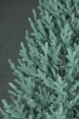 Штучна ялинка Arts Pine Віденська-2 250 см Поліпропілен з металевою підставкою Блакитний (SG-6190) TRG-165496 - зображення 8