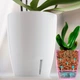 Вазон с автополивом Santino Orchidea TWIN 1,3 л белый (O1 WHT) - изображение 3