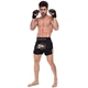 Шорты для тайского бокса и кикбоксинга FAIRTEX BS1903 BLACK/YELLOW M черный-желтый - изображение 6