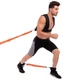Поводок-амортизатор с рукоятками Record PHYSICAL ABILITY TRAINER FI-6557 - изображение 6