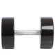 Гантель цілісна професійна Life Fitness SC-80081-28 1шт 28кг - зображення 2