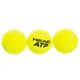 Мяч для большого тенниса HEAD ATP METAL CAN 570303 3шт салатовый - изображение 1