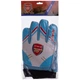 Перчатки вратарские детские ARSENAL FB-0028-04 размер 5 синий-белый-красный - изображение 5