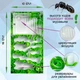 Комплект ANT-LIVE Smart "лист" с муравьиной фермой и муравьями - Формикарий - изображение 2