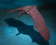 King of The Monsters - S.H. Monster Arts Mothra and Rodan Фигурка Годзилла - Мотра и Родан 26-35 см - изображение 1