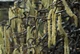 Лещина обыкновенная / Corylus avellana"Contorta" С10, Н 80-100 - изображение 6