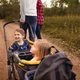 Прогулянковий візок Evenflo Pivot Xplore All-Terrain Stroller Wagon Gypsy, 032884198252 - зображення 11