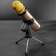 Караоке микрофон Losso K6 Premium золотой (стерео-звук) - изображение 4