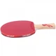 Ракетка DHS Gold Medal Ma Long 03 (carbon blade) - изображение 3