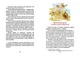 Книжка Легенди про козаків (Укр) ТАЛАНТ (Талант) - изображение 3