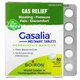 Натуральная добавка Boiron Gasalia 60 таблеток (4384304755) - изображение 1