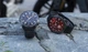 Умные смарт-часы Smart Watch DT3 Mate, голосовой вызов, шагомер, режим спорт, тонометр, пульсометр, функция Always on display, два ремешка, чёрный, (001438723). - изображение 5