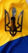 Настенный одинарный держатель для флага в форме Герба, металлический держатель под флагшток в форме Тризуба, 27,5х16,5 см - изображение 1