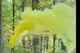 Цветной дым для фотосессии Желтый Maxsem MA0511 Yellow smoking fountain 60 сек - изображение 5