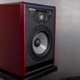Активный студийный монитор Focal SOLO6 - изображение 9