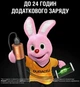 Повербанк мобільна батарея Duracell УМБ Duracell 3350 mAh Black/Copper - зображення 3