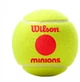 М'ячі для тенісу Wilson MINIONS 3 ball WR8202401001 - зображення 3