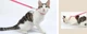 Нейлоновый поводок для мелких домашних животных шлейка коту кролику собачке 100*1см - изображение 4