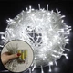 Яркая светодиодная гирлянда НА БАТАРЕЙКАХ 100LED DL 10м белый 7G-F-7790 - изображение 1
