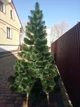 Сосна штучна 2,1 м Смарагдово-зелений (Сосна Зел-210) - зображення 5