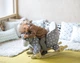 Лошадка-качалка с колесиками Kinderkraft Grey - изображение 7