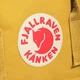 Городской рюкзак Fjallraven Kanken 16л Ochre (23510.160) - изображение 10