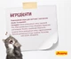 Сухой корм для кошек беременных и лактирующих кошек Josera Kitten 2 кг (4032254748977) - изображение 4