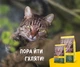 Сухой корм для взрослых котов Josera NatureCat беззерновой 10 кг (4032254749288) - изображение 7
