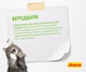 Сухой корм для котов Josera SensiCat с чувствительным пищеварением 10 кг (4032254749219) - изображение 4