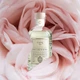 Рефіл (наповнювач до аромадифузору) Logevy Firenze REFILL 500 ML Champagne e bacche di rosa (Шампанське & Рожеві ягоди) (LOG0142) - изображение 3