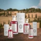 Аромадифузор Logevy Firenze 250 ML L'Etrusco Antico (Стародавні Етруски) (LOG0193) - изображение 5