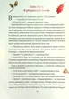 Таємниця різдвяного подарунка Анна Лотт - изображение 5