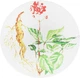 Скраб-мыло "Женьшень" для глубокого очищения кожи лица - Vigor Cosmetique Naturelle 50ml (61827-3940) - изображение 3