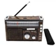 Радіоприймання портативної Golon RX-382 MP3 USB, коричневий - изображение 4