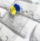 Прозорий чохол для Samsung Galaxy А51 з об'ємним друком "Українка Арт" принт 3 - зображення 2