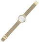 Женские часы SKAGEN SKW2693 - изображение 3