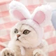Шапка с ушками Bunny S White - изображение 1