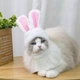 Шапка с ушками Bunny S White - изображение 8