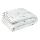 Ковдра Руно 200х220 см 322.52_Silver Swan - изображение 1