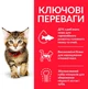 Сухой корм Hill's Science Plan Kitten Chicken для котят с Курицей 1.5 кг (052742023649) - изображение 3
