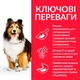 Сухий корм для собак Hill's Science Plan Adult Medium Sensitive Stomach & Skin Chicken чутливе травлення та шкіра з куркою 2.5 кг (052742025131) - зображення 3