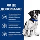 Сухий корм для собак Hill's Prescription Diet i/d Stress при розладах травлення повязанних зі стресом то ентеропатією 1 кг (052742055398) - зображення 5