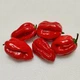 Семена Перец острый Красная Доминика, 10 шт (Солнечный март) - изображение 4
