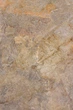 плитка Paradyz Burlington 59,5x89,5 rust struktura - зображення 1