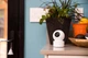 IP-Камера IMILAB Home Security Camera Basic 360° (CMSXJ16A) (Міжнародна версія) - изображение 14