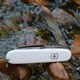 Складной швейцарский нож Victorinox Vx13603.7 Swiss Army Spartan 12 функций 91 мм белый - изображение 4