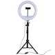 Селфи лампа и LED освещением Bluetooth 12" ZM300 170cm Stand USB Powered 3000-6500K - изображение 1