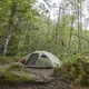 Намет Grand Canyon Apex 1 Capulet Olive (330001) - зображення 17