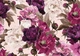 Пазлы трехслойные Interdruk Flovers 1 33х46 см 500 шт (5902277326027) - изображение 3